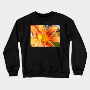 Beautiful photograph of orange flower Crewneck Sweatshirt